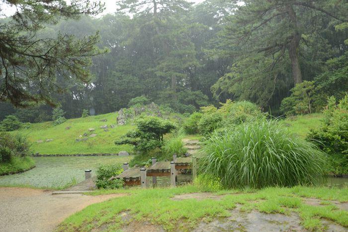 En attendant le soleil ... au Ritsurin koen de Takamatsu 3 juillet Takamatsu Ritsurin 280