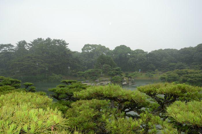 En attendant le soleil ... au Ritsurin koen de Takamatsu 3 juillet Takamatsu Ritsurin 319