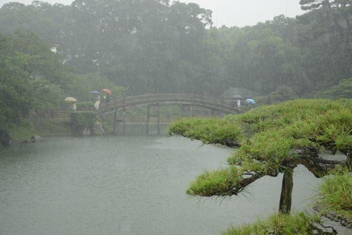 En attendant le soleil ... au Ritsurin koen de Takamatsu 3 juillet Takamatsu Ritsurin 324
