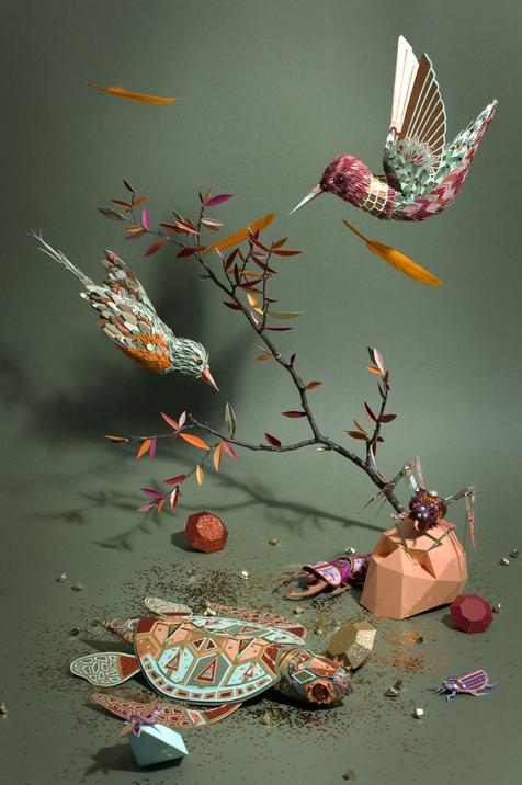 cabinet de curiosités Cabinet de curiosités