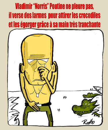 Poutine, l'homme, le démocrate, l'Etre réelu et Chuck Norris Poutine_reelu_2012