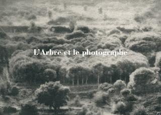 Les arbres et les herbes Les arbres et les herbes