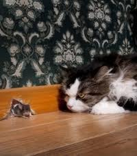 Gouvernement de Chats ... au pays des Souris tommy douglas, mouseland