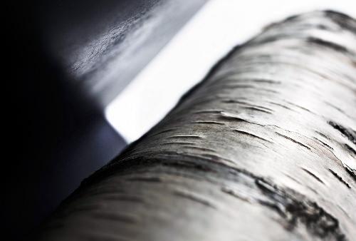 Etagère Trees par Andrea Branzi Etagère Trees par Andrea Branzi