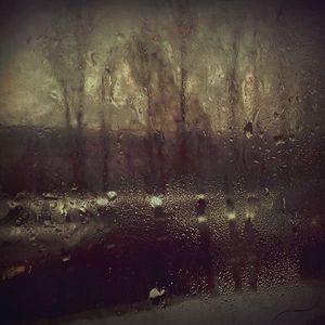 Opened Zoo+Sky - Sosnowiec - Pologne Opened zoo_Daaram