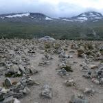 Cercle polaire: derrière les cailloux, la neige!!!!! CIMG6045.JPG