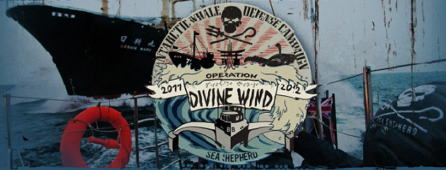 Sea Shepherd – Eureka, le Nisshin Maru est en vue !