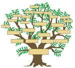 arbre Emporium Programme 2012