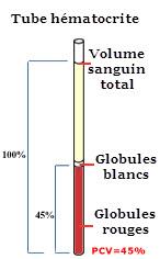 tube_hematocrite Comprendre les résultats des globules rouges dans une prise de sang.