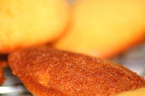 Ma Madeleine ... petite-anse-de-bouillante-010.JPG