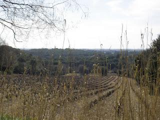 Balade à Valergues