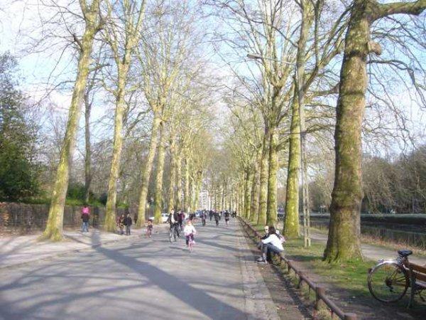 Le printemps pointe le bout de son nez sur la métropole lilloise Le printemps pointe le bout de son nez sur la métropole lilloise