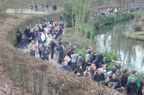 Le printemps pointe le bout de son nez sur la métropole lilloise Le printemps pointe le bout de son nez sur la métropole lilloise