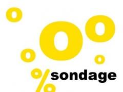 Le billet le plus con de l'année sondages, lurie