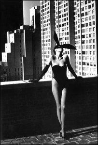 helmut-n Exposition : Helmut Newton au Grand Palais