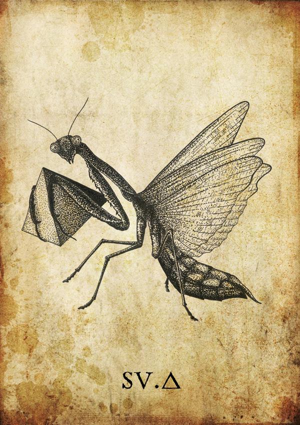 Weekly Artworks⎢SV.A weekly artworks SV.A