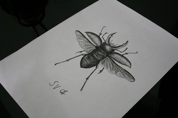 Weekly Artworks⎢SV.A weekly artworks SV.A