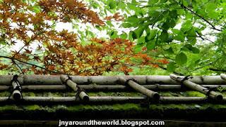 Le Nord Ouest de Kyoto: cerises, pavillon d'or et jardins Le Nord Ouest de Kyoto: cerises, pavillon d'or et jardins