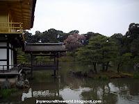 Le Nord Ouest de Kyoto: cerises, pavillon d'or et jardins Le Nord Ouest de Kyoto: cerises, pavillon d'or et jardins