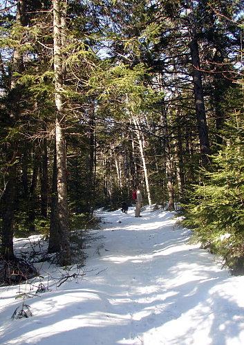 En avant marche DSC09953-1
