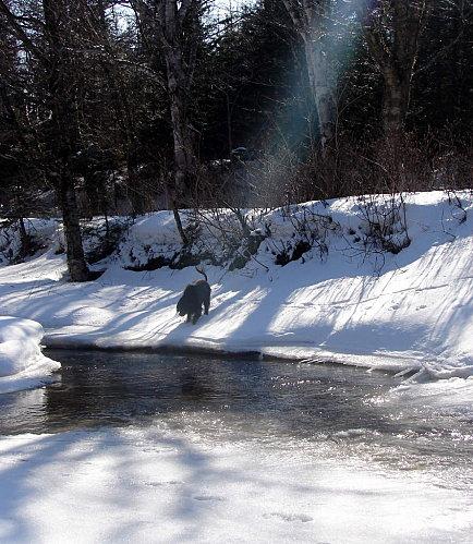 En avant marche DSC09947-1