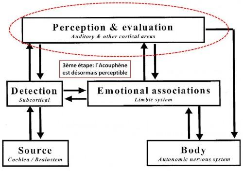 Perception et Évaluation de l´acouphène détection, associations négatives, système limbique, counselling négatif, habituation