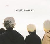 Marshmallow sur le chantier des Francofolies (01/12) #Photos