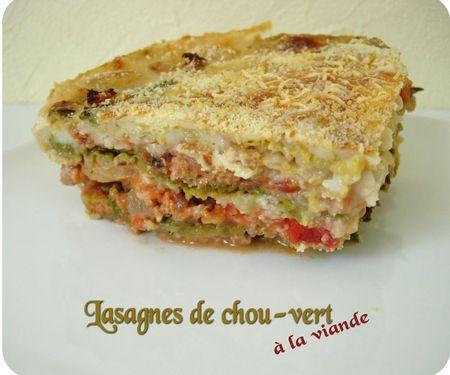 lasagnes chou vert (scrap2)