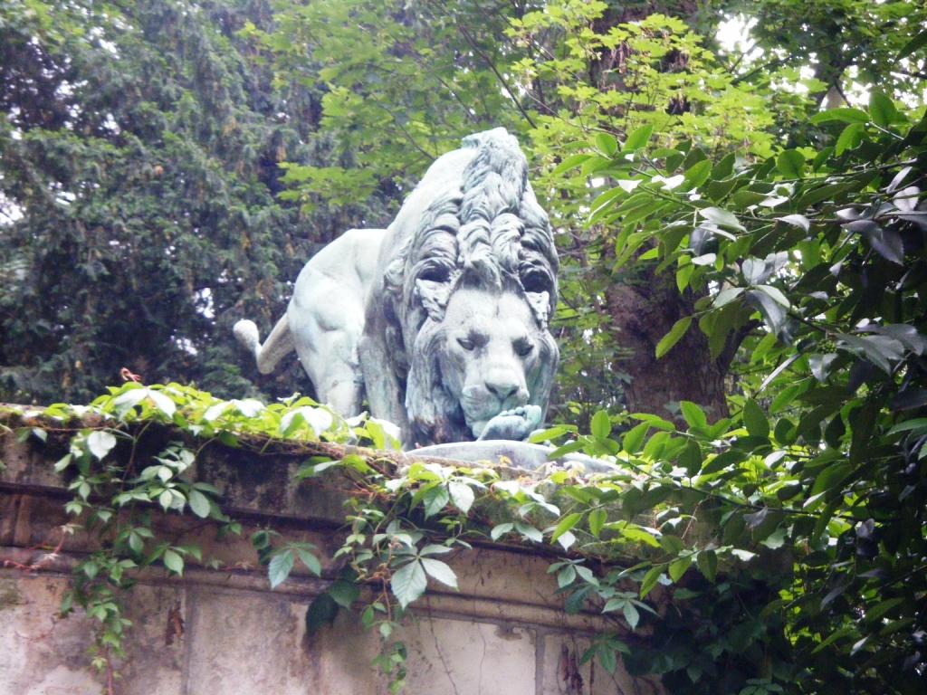 Lion du Jardin des plantes 2010-06-12 Quand le lion mange un homme au Jardin des Plantes
