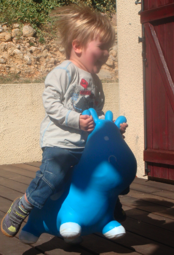 Un nouveau pensionnaire à la maison Image-3-copie-2.png