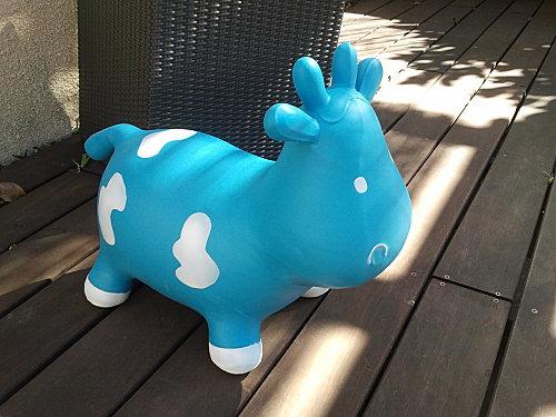 Un nouveau pensionnaire à la maison Photo3817.jpg