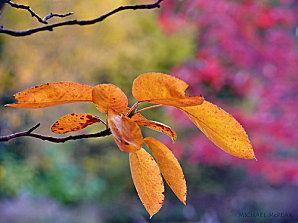 LE GRAND DÉPART nature