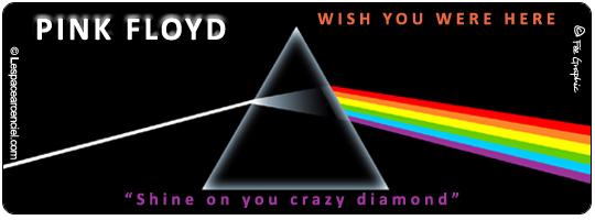 Shine On You Crazy Diamond Pink-Floyd