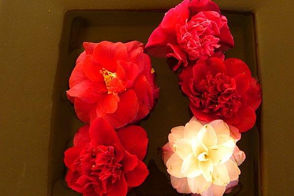 l'adamville que j'aime : P1030327.jpg