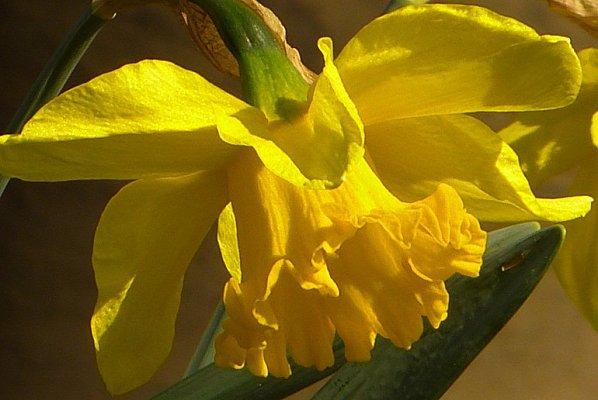 l'adamville que j'aime : P1030342.jpg