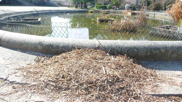 jardin crapauduc.jpg De l’utilité du crapauduc