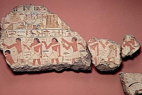 Fragments E 25517, E 25518 et E 25541 - Louvre : cliché H. Lewandowski 41. Fragments E 25517 - E 25518 et E 25541 (Louvre)