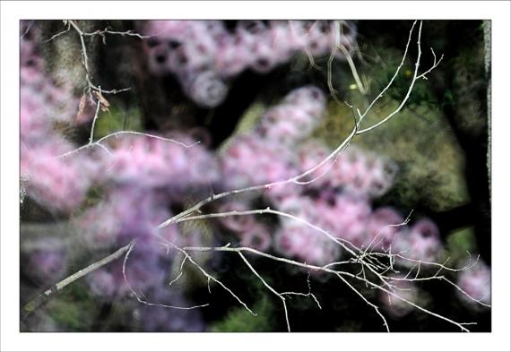 Entre deux Jardins de la Fontaine, Nîmes, Parcs, Provence, Paysages