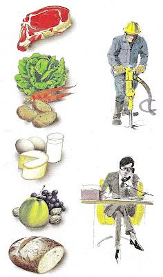 Calories journalières Calories journalières