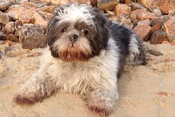 Un week end en semaine photo