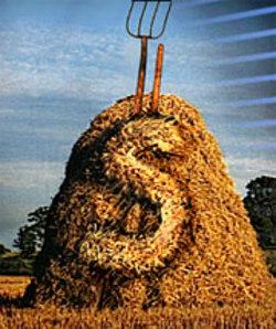 Faites votre marché à terme (mais où est terme ?) undefined