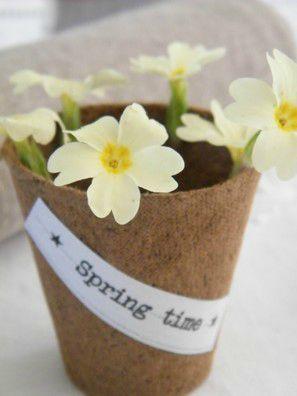 SPRING ...
Avec quelques heures d'avance sur le ca... DSCF8732