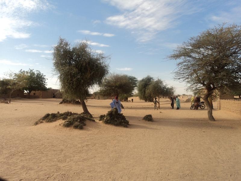 Bourem Géographie À Voir