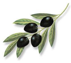 Aux bonnes olives