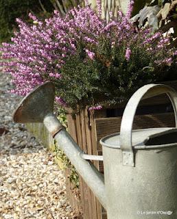 Le Printemps, c'est l'invasion du jardin par la faus... Le Printemps, c'est l'invasion du jardin par la faus...