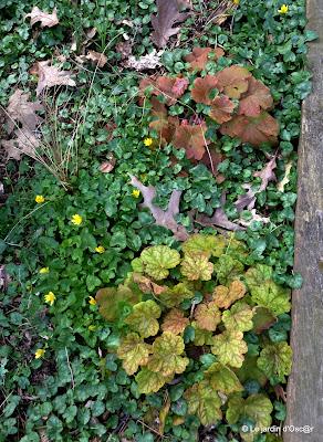 Le Printemps, c'est l'invasion du jardin par la faus... Le Printemps, c'est l'invasion du jardin par la faus...