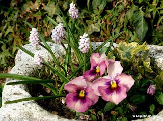 Le Printemps, c'est l'invasion du jardin par la faus... Le Printemps, c'est l'invasion du jardin par la faus...