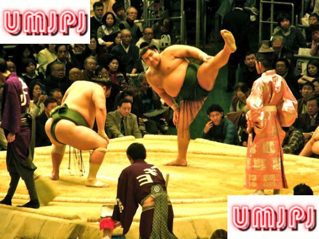 Sumo et rikishi ! Sumo et rikishi !