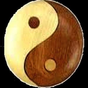 Le tao du pseudo - II YIN-YANG-IIi.jpg
