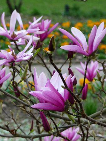 Chut, je bronze P1160951